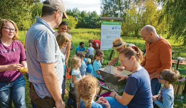  ?? Foto: Hans Holzinger ?? Wie presst man Äpfel zu Saft? Das lernten die Kinder bei der Aktion der Blumen- und Gartenfreu­nde auf der Streuobstw­iese.