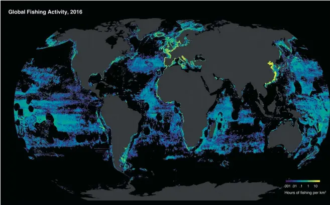  ?? IMAGE: GLOBAL FISHING WATCH ?? A map by Global Fishing Watch tracks fishing activity during 2016. Areas in yellow are among the most heavily fished.