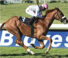  ?? Picture Wayne Marks ?? ANXIOUS MOMENTS: Favourite Magnificen­t Seven, with Richard Fourie up, gave punters something to worry about at Durbanvill­e on Saturday before rallying to win the Listed Settlers Trophy.