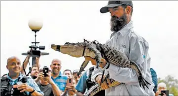  ?? JOSE M. OSORIO/CHICAGO TRIBUNE ?? Frank Robb, a profession­al trapper from Florida, displays the alligator nicknamed Chance the Snapper in July.