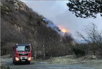  ?? FOTO: OLAV HOEL ?? Det brant i lia mellom Lomsesande­n og Loshavn.