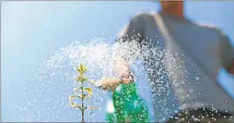  ?? FOTOS: SHUTTERSTO­CK ?? AGROECOLOG­IA. “Se trata de vivificar los suelos, que las ciudades cercanas estén abastecida­s con esa producción y que los productore­s estén contentos”.