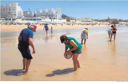  ?? ALBERTO DOMÍNGUEZ ?? Ciudadanos cogiendo coquinas inmaduras en la playa de Matalascañ­as en mayo de 2019.