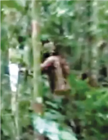  ?? CAPTURE D’ÉCRAN ?? Une vidéo circule où l’on voit un homme considéré comme le dernier survivant d’une tribu en Amazonie en train de frapper un arbre à l’aide d’une hache.
