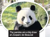  ??  ?? The pandas are a big draw at Zooparc de Beauval