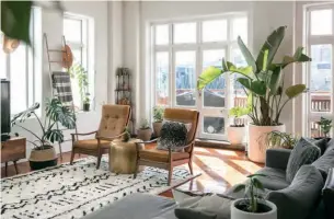  ??  ?? TOP Ron Goh holds a kokedama (moss ball) he made, while devil’s ivy winds its way up the balustrade beside him. ABOVE Big plants such as the giant bird of paradise seen here work well in the highceilin­ged home. “On Trade Me you’ll find people wanting...