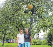  ?? FOTO: LUCA MADER ?? Hedwig Birk (links) und Renate Zell waren erstaunt, als sie einen Kürbis in einem Birnbaum entdeckten.
