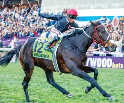  ?? Picture: Gold Circle ?? BIG RUNNER. Hollywoodb­ets Durban July winner Sparkling Water is one of Mike de Kock’s four-pronged attack in Saturday’s R2.5-million Betway Summer Cup over 2000m at Turffontei­n.