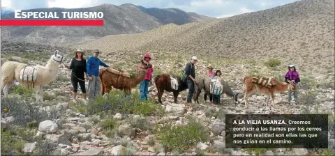  ??  ?? A LA VIEJA USANZA. Creemos conducir a las llamas por los cerros pero en realidad son ellas las que nos guían en el camino.