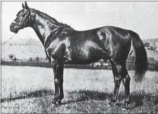  ?? PHOTO PROVIDED ?? Sun Briar, shown above, and Molly Brant will be added to the Hoofprints Walk of Fame at Saratoga Race Course.