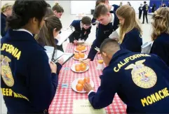  ??  ?? FFA citrus team members judge oranges Saturday during the second annual citrus judging competitio­n at the Portervill­e Fairground­s.