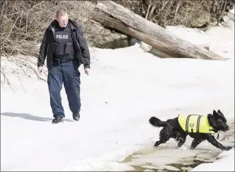  ?? The Canadian Press ?? A specially trained dog on loan from the RCMP in Halifax, Nova Scotia, scans a river bank in Montreal, Friday, as the search continued all weekend for missing boy Ariel Jeffrey Kouakou.