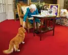  ?? AFP/Getty Images ?? Furry friends … Elizabeth II and a corgi called Candy. Photograph: Steve Parsons/