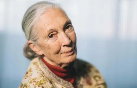  ?? BRIAN B. BETTENCOUR­T ?? Jane Goodall Sunday at TIFF Bell Lightbox. She credits the dog she had as a child for making it clear animals have personalit­y, minds and feelings.