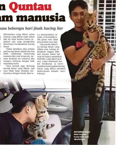  ??  ?? MUHAMMAD Nazirul Mubin bersama kucing hutan yang dijinakkan­nya.