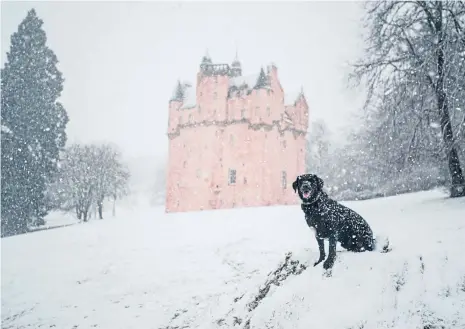  ?? Photograph by Julia Sidell ?? RUFF WEATHER: Craigievar Castle came in at number eight on the Top 10 list of dog-friendly venues.