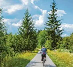  ??  ?? Natur und Ruhe pur: Der Weldenbahn-Radweg geht von Adelsried bis Neusäß wunderschö­n durchs Grün eben dahin.