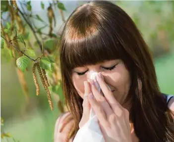  ??  ?? Die Pollen machen Allergiker­n derzeit schwer zu schaffen