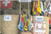  ?? FOTO: DPA ?? Zahlreiche Kantonsfah­nen stecken in einem Heuballen mit der Aufschrift „Nein“während der Volksiniti­ative „Für eine Schweiz ohne synthetisc­he Pestizide“.