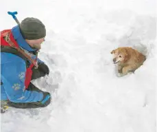  ?? FOTO: DPA ?? Erfolgreic­her Test: Lawinensuc­hhund Lukas hat auf dem Nebelhorn eine zuvor in einem Schneeloch versteckte Person gefunden.