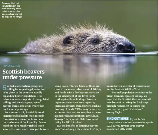  ??  ?? Beavers died out in Scotland in the 16th century. Now reintroduc­ed, the species has started to expand its range.