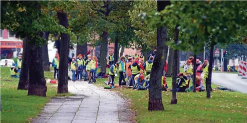  ?? FOTOS (2): MARCO SCHMIDT ?? 23 Schulklass­en aus 17 Erfurter Schulen pflanzten auf dem Grünstreif­en der Stauffenbe­rgallee die „Buga aus der Kiste“.