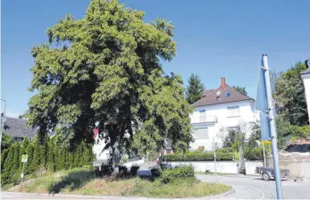  ?? FOTO: HAFNER ?? Das „Anlägle“am Schnittpun­kt von Hirschbach- und Hermannstr­aße. In dem Haus dahinter wohnte einst Oberbürger­meister Schübel als „Logierherr“.