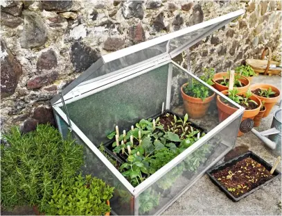  ?? ?? Above Aluminium and toughened glass coldframes tend to be the strongest and should be able to withstand the harshest of winds.