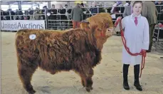  ?? 15_T07_Highlander Show_03 ?? Young handler Isla MacGillivr­ay, 14, of Tiree.