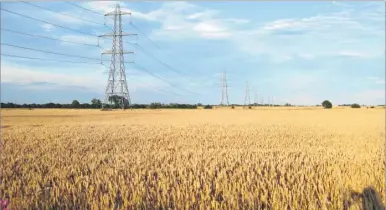  ??  ?? Dozens of pylons will still be put up between Canterbury and Richboroug­h