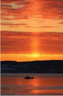  ??  ?? A beam of light from the rising sun cast a warm tangerine glow on a cold-looking Sydney Harbour. Denise Clarkson’s timing was perfect, and the photo is mesmerizin­g.