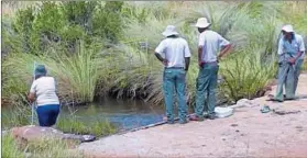  ??  ?? GDARD is working closely with local farmers to to secure biodiversi­ty. Photo: Supplied