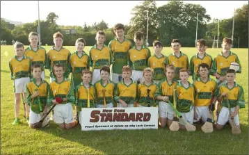  ??  ?? The HWH-Bunclody under-13 hurlers who lost out to Oylegate-Glenbrien last week.