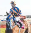  ?? Picture: BRUCE THOMAS ?? Jon Grisedale on Bodega Negra after their Sawtell Cup win.