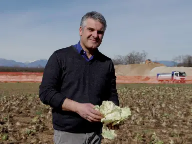  ?? (foto Balanza) ?? Fiducioso Paolo Manzan, presidente del Consorzio per la tutela del radicchio di Treviso, si è visto espropriar­e due ettari. Ma è convinto che la Pedemontan­a resti un’opera utile allo sviluppo del territorio