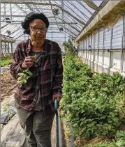  ?? NATHAN KLEINMAN VIA THE NEW YORK TIMES ?? Ira Wallace has played a key role at Southern Exposure Seed Exchange in Mineral, Virginia, for about 25 years and is referred to by those she has mentored as a godmother.