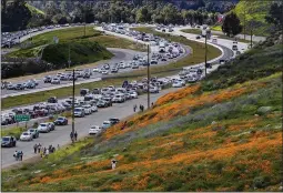  ?? GINA FERAZZI — LOS ANGELES TIMES ?? The superbloom creates a super traffic jam along Interstate 15as wildflower fans wait to exit toward Walker Canyon to get a close-up of flowers on the hillsides.