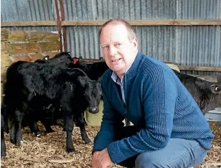  ??  ?? Firstlight supply chain manager Peter Keeling is keen to talk to Canterbury dairy farmers interested in a guaranteed buyer for a higher value calf.