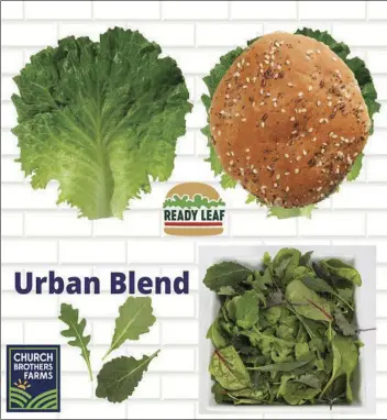  ?? TESY PHOTO
COUR ?? Church Brothers Farms, which has operations in Holtville, recently announced it is expanding market availabili­ty on two of its Ready Leaf (top) and Urban Blend (bottom) products.