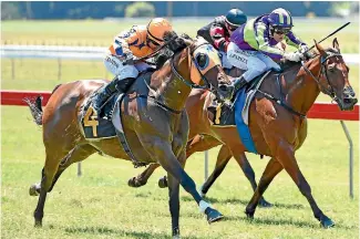  ?? PHOTO: RACE IMAGES ?? Chambord takes out the Levin Stakes over a brave Start Wondering.