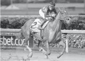  ?? COURTESY GULFSTREAM PARK ?? Jala Jala, a 4-year-old filly, will be the favorite in the Copa Confratern­idad at Gulfstream Park on Saturday.
