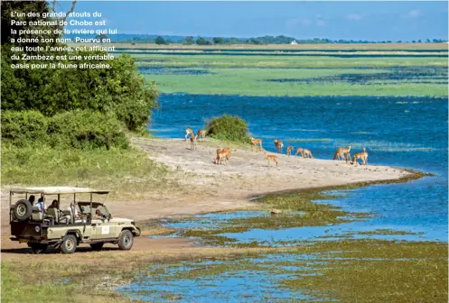  ??  ?? L’un des grands atouts du Parc national de Chobe est la présence de la rivière qui lui a donné son nom. Pourvu en eau toute l’année, cet affluent du Zambèze est une véritable oasis pour la faune africaine.