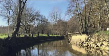  ??  ?? Grâce à ses eaux froides, la modeste rivière Ciron joue un rôle déterminan­t dans le développem­ent du botrytis à Sauternes.