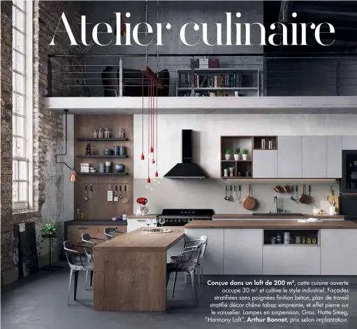  ??  ?? Conçue dans un loft de 200 m2, cette cuisine ouverte
occupe 30 m2 et cultive le style industriel. Façades stratifiée­s sans poignées finition béton, plan de travail stratifié décor chêne tabac empreinte, et effet pierre sur le vaisselier. Lampes en...