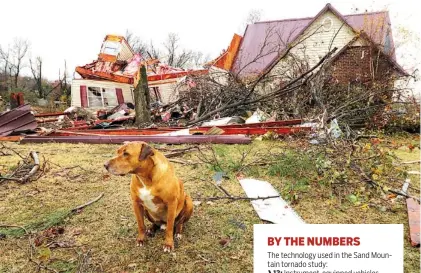  ?? STAFF FILE PHOTO BY DAN HENRY ?? A dog sits patiently in front of the Brown residence, which was destroyed by a suspected tornado in Ider, Ala., in November. The overnight storm smashed Sand Mountain structures and killed three people in the neighborin­g town of Rosalie,