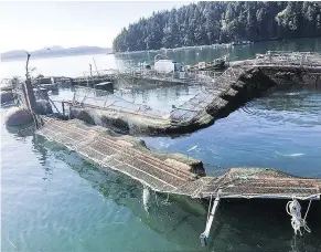  ?? — KURT BEARDSLEE/VICTORIA TIMES COLONIST ?? The collapse of pens at open-net fish farms at Cooke Aquacultur­e near Cypress Island in Washington led to the escape of 305,000 Atlantic salmon into the ocean.