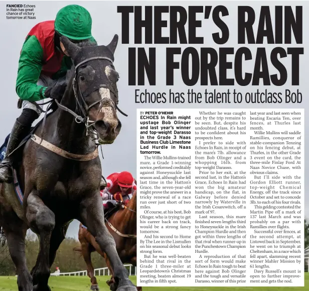  ?? ?? FANCIED Echoes In Rain has great chance of victory tomorrow at Naas