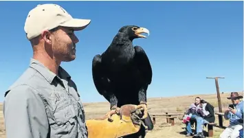  ?? ELIZABETH SLEITH ?? TALON SCOUT: Guide Adian Botha with Ebony the black eagle at the Bird Of Prey &amp; Rehabilita­tion Centre, just outside Dullstroom