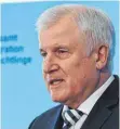  ?? FOTO: DPA ?? Horst Seehofer (CSU).