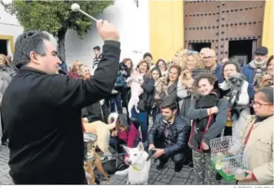  ?? R. GRÁFICO: JUAN AYALA ?? El sacerdote Antonio José Ruiz bendice a los animales.